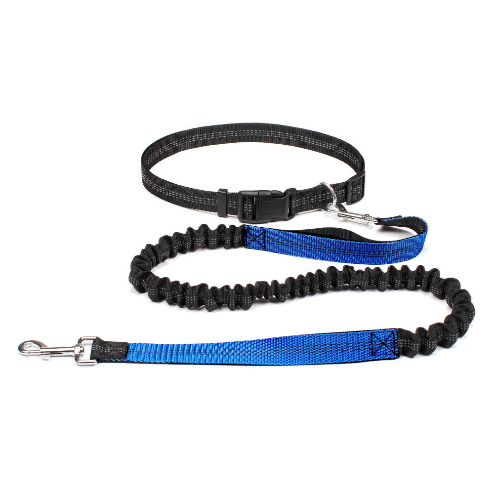 Hand Free Dog Leash for Pet Walking Running Jogging Adjustable Dog leash Waist Belt Chest Strap Traction Rope Dog Accessories - Pet Moda Store
